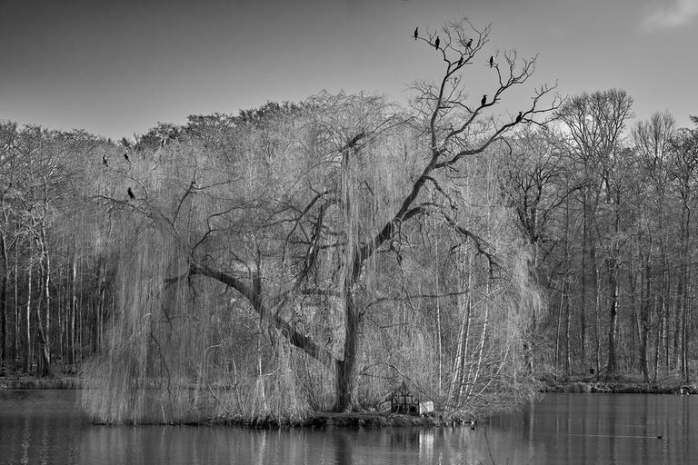 Insel_1