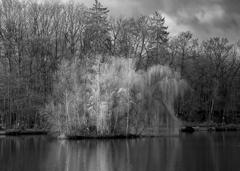 Insel_2